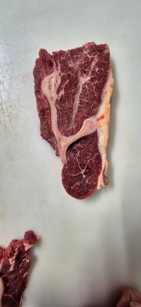 Y-Bone